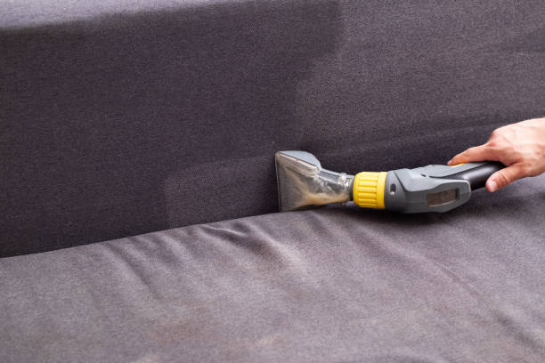 Quality Upholstery Cleaning for a Healthier Home